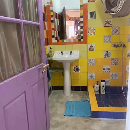 House With Forest View *