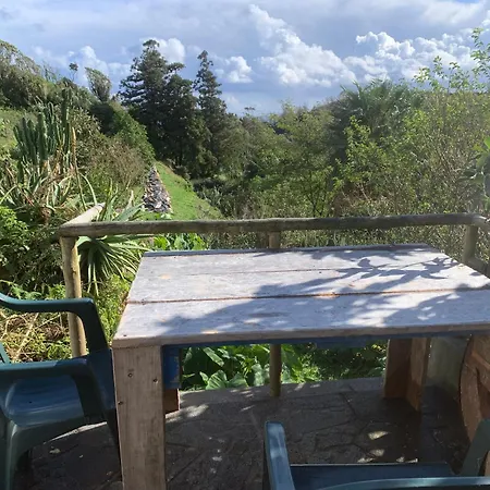 ホームステイ House With Forest View