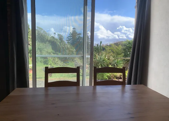 House With Forest View