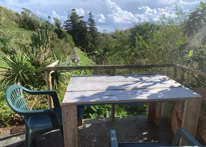 Homestay szállás House With Forest View