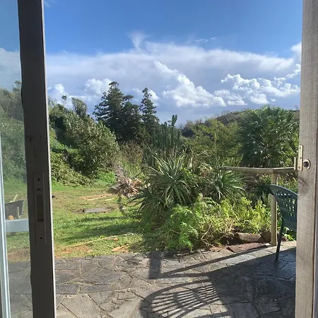 House With Forest View Homestay