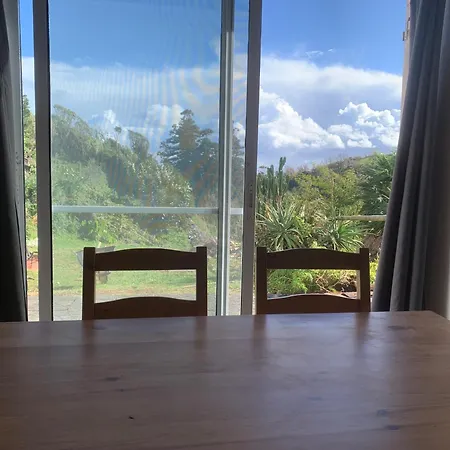 House With Forest View