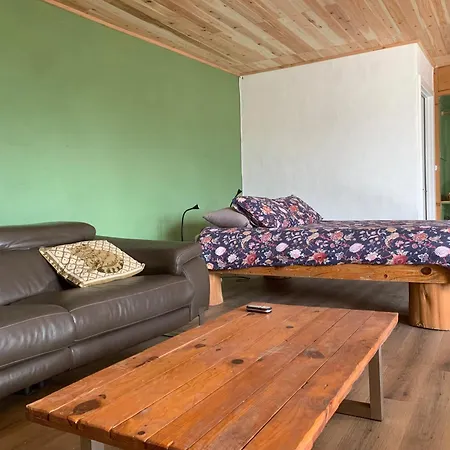 House With Forest View Homestay